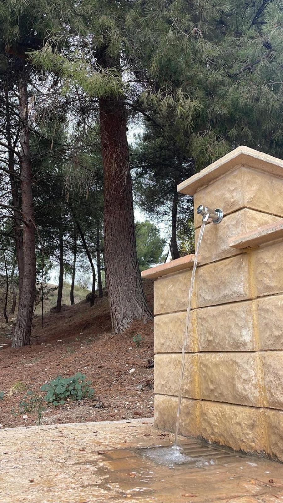 Casa Rural Puente Del Segura Elche de la Sierra Exterior photo